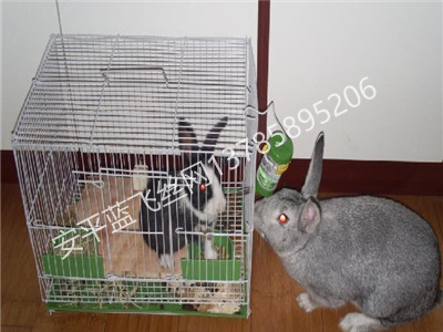 宠物笼-6.jpg